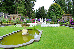 A FAIRY TALE WEDDING